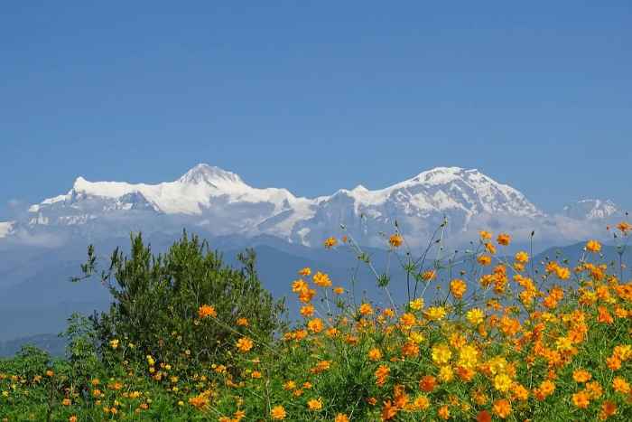 11-Day Annapurna Base Camp Trek with Pokhara Visit