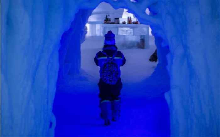 Tromsø Ice Domes: Overnight Stay with dog Sledding & Snowshoeing Included