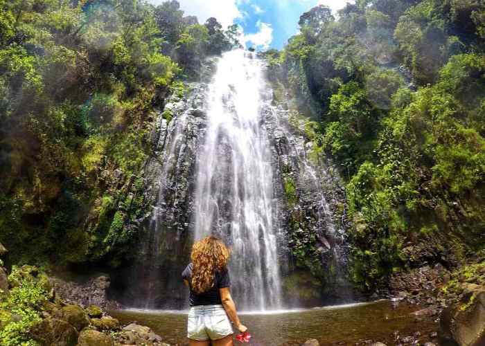 Materuni Waterfalls: Full-day Materuni Waterfalls and Coffee Tour with Lunch