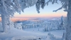 Arctic Adventure: 7-Day Wild Lapland Experience from Rovaniemi