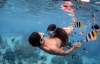 Bora Bora Snorkeling: 2.5-hour Bora Bora Shark & Snorkeling Experience