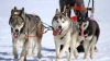 Lapland Experience: 5-Day Wild Lapland Experience & Santa Claus Village