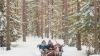 Rovaniemi Reindeer Safari: 3.5-hour Reindeer Safari in the Arctic