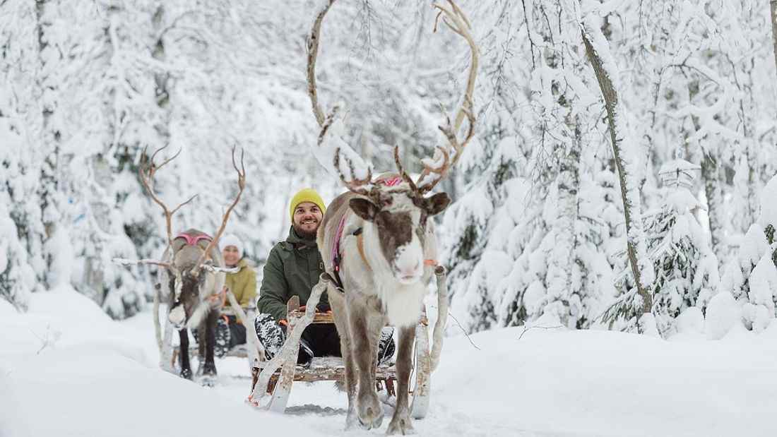 Rovaniemi Reindeer Safari: 3.5-hour Reindeer Safari in the Arctic