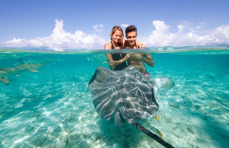 Bora Bora Snorkeling: 2.5-hour Bora Bora Shark & Snorkeling Experience