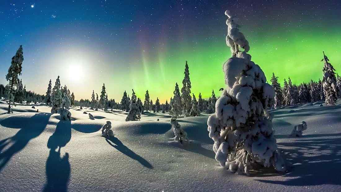 Lapland Experience: 5-Day Wild Lapland Experience & Santa Claus Village