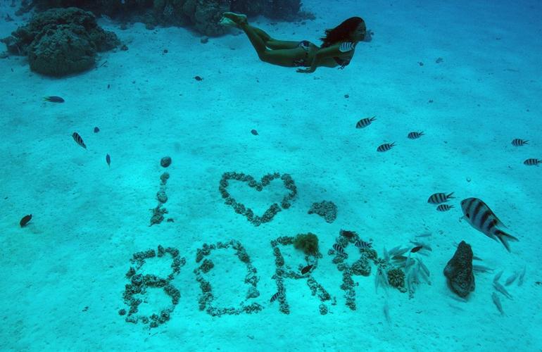 Bora Bora Snorkeling: 2.5-hour Bora Bora Shark & Snorkeling Experience