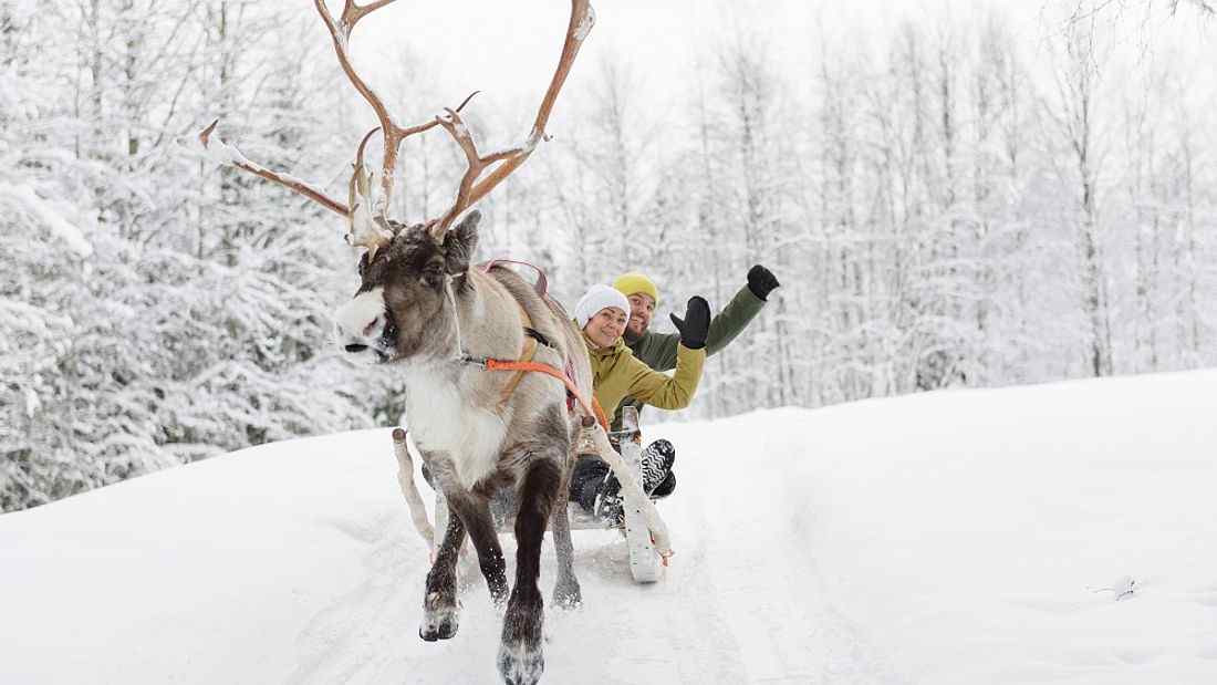 Rovaniemi Reindeer Safari: 3.5-hour Reindeer Safari in the Arctic