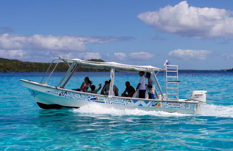 Bora Bora Snorkeling: 2.5-hour Bora Bora Shark & Snorkeling Experience