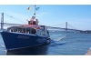 Three Bridges Cruise: 90-Minute Three Bridges Cruise with Wildlife Sightseeings