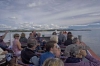 Inchcolm Island Boat Trip: 90-minute Inchcolm Island and Three Bridges Boat Trip