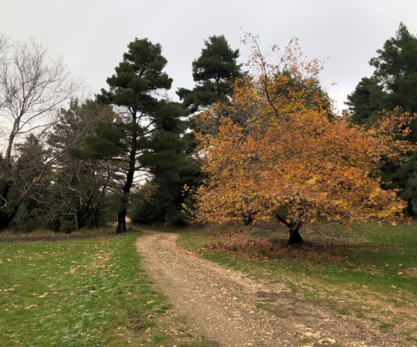 Athens 4x4: Full-day Athens Backcountry Shore Excursion by Jeep