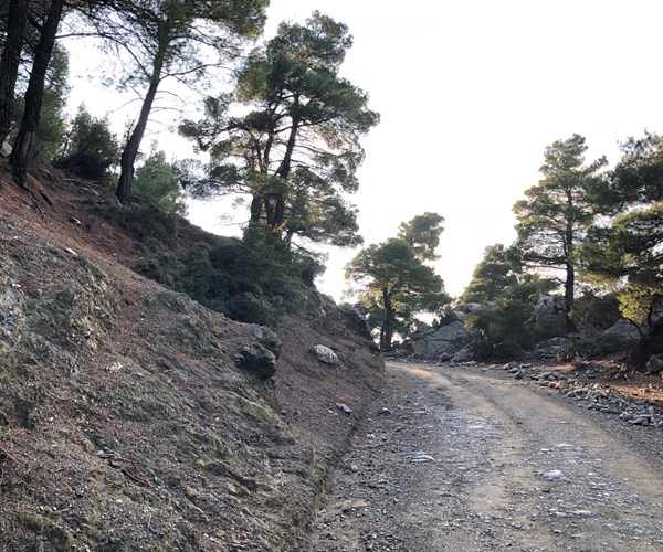 Athens Private Jeep Tour: Athens Private Jeep Tour to Loutraki Lake, Corinth, and Geraneia Mountain