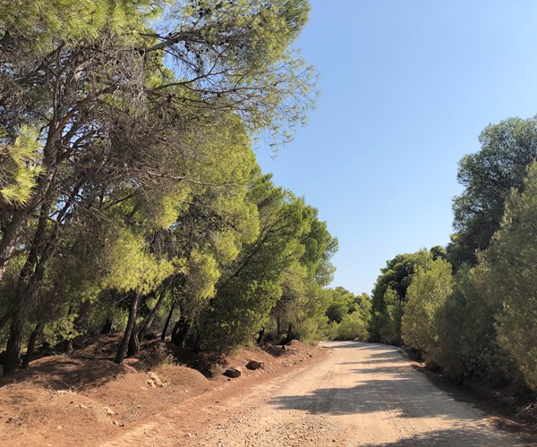 Athens Private Jeep Tour: Athens Private Jeep Tour to Loutraki Lake, Corinth, and Geraneia Mountain