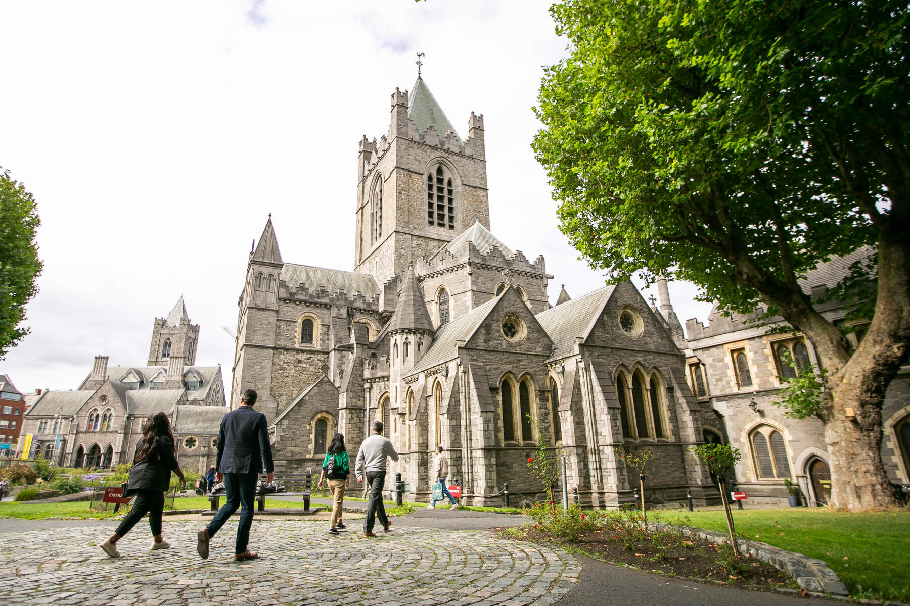 Dublin Walking Tour: 90-minute Guided Dublin Walking Tour