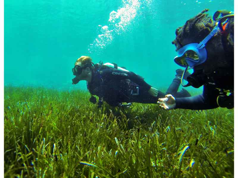 Alonissos Diving: 2.5-hour Discover Scuba Diving at Ikion Alonissos