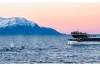 Tromso Whale Watching: Full-day Tromso Whale watching Cruise on a Hybrid Electric Boat