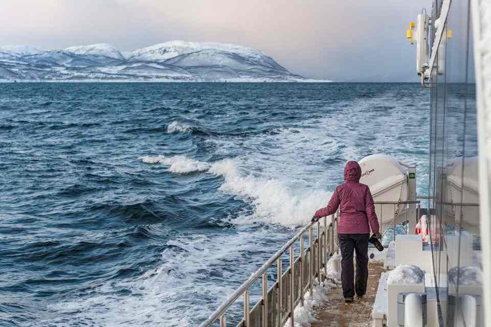 Tromso Whale Watching: Full-day Tromso Whale watching Cruise on a Hybrid Electric Boat