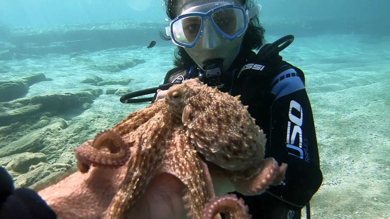 Diving in Crete: Scuba Diving lesson for beginners in Crete with a PADI instructor