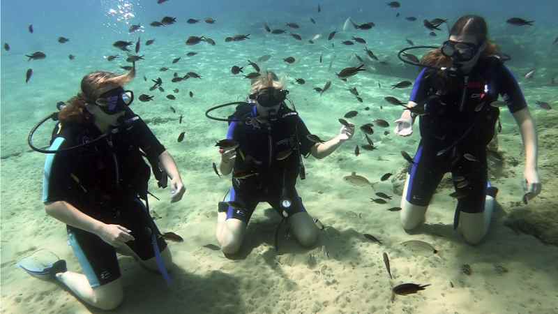 Diving in Crete: Scuba Diving lesson for beginners in Crete with a PADI instructor