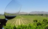 Chile Wine Tour: Full-day Casablanca Valley Wine Tasting Tour