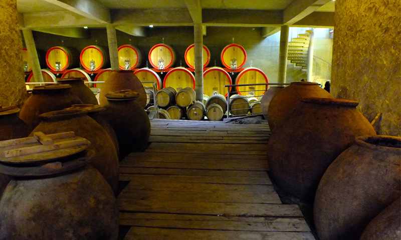 Chile Wine Tour: Full-day Casablanca Valley Wine Tasting Tour