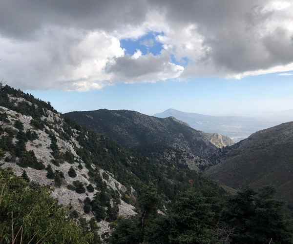 Athens Jeep Adventure: Half-day Private Jeep Adventure to Parnitha Mount and Mpafi Refuge 