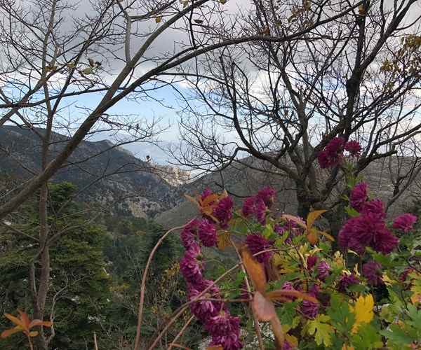 Athens Jeep Adventure: Half-day Private Jeep Adventure to Parnitha Mount and Mpafi Refuge 