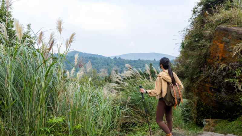 Taipei to Yangmingshan: 5-hour Yangmingshan National Park Tour from Taipei