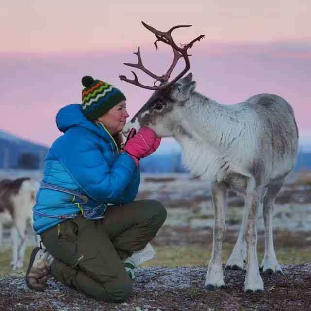 Tromso Reindeer: Half-day Reindeer and Snowshoeing Experience from Tromso