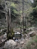 Fygou and Agia Irini Gorge Loop Hiking Day Tour