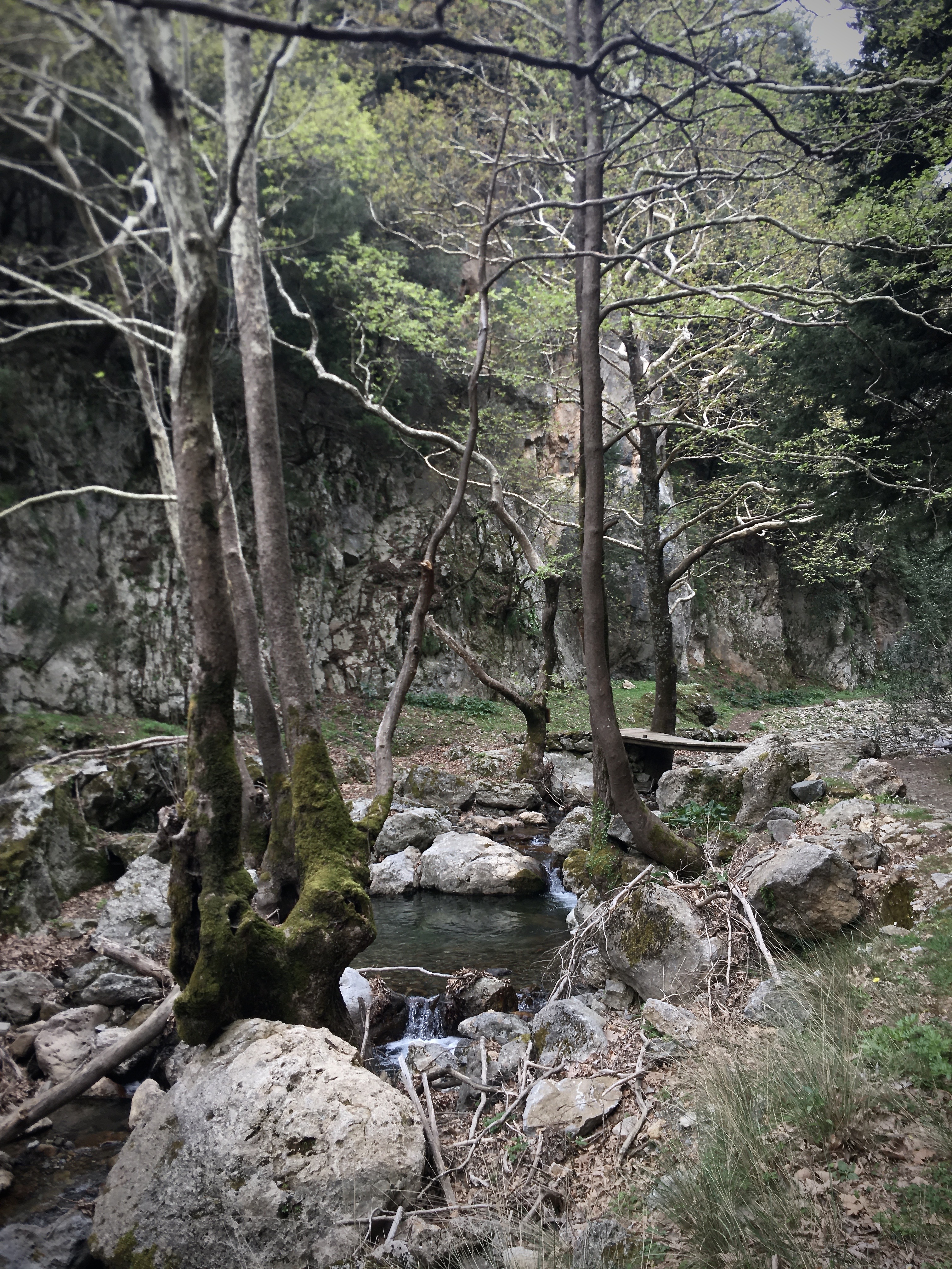 Fygou and Agia Irini Gorge Loop Hiking Day Tour