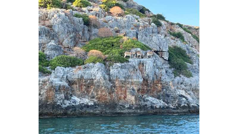 Chania Boat Tour: 3-hour Sunset Powerboat Tour from Chania