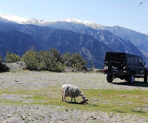 Corfu Safari: Corfu Shore Excursion to Mount Pantokrator