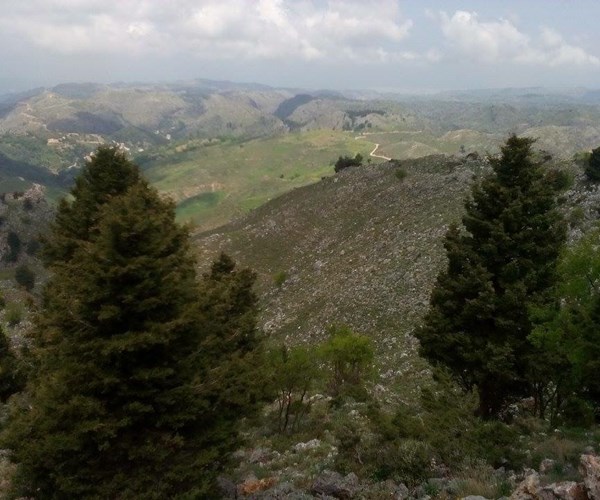 Corfu Safari: Corfu Shore Excursion to Mount Pantokrator