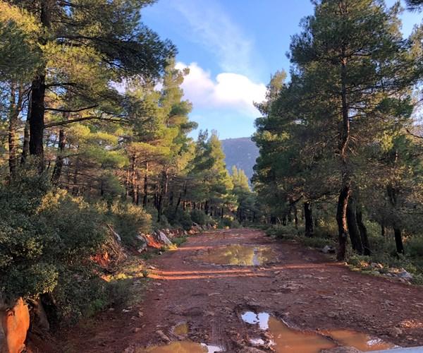 Athens to Delphi: Full-day Athens to Delpi, Mount Parnassus, and Arachova Private Tour 