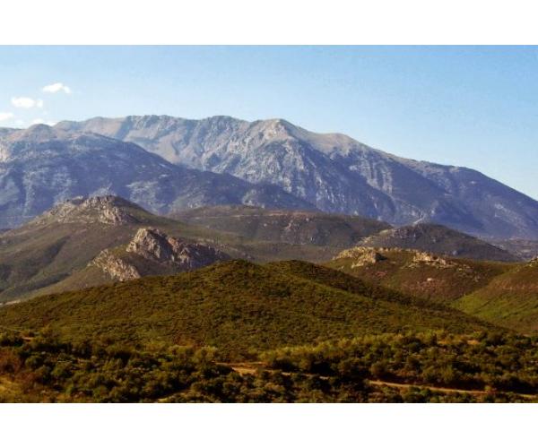 Athens to Delphi: Full-day Athens to Delpi, Mount Parnassus, and Arachova Private Tour 