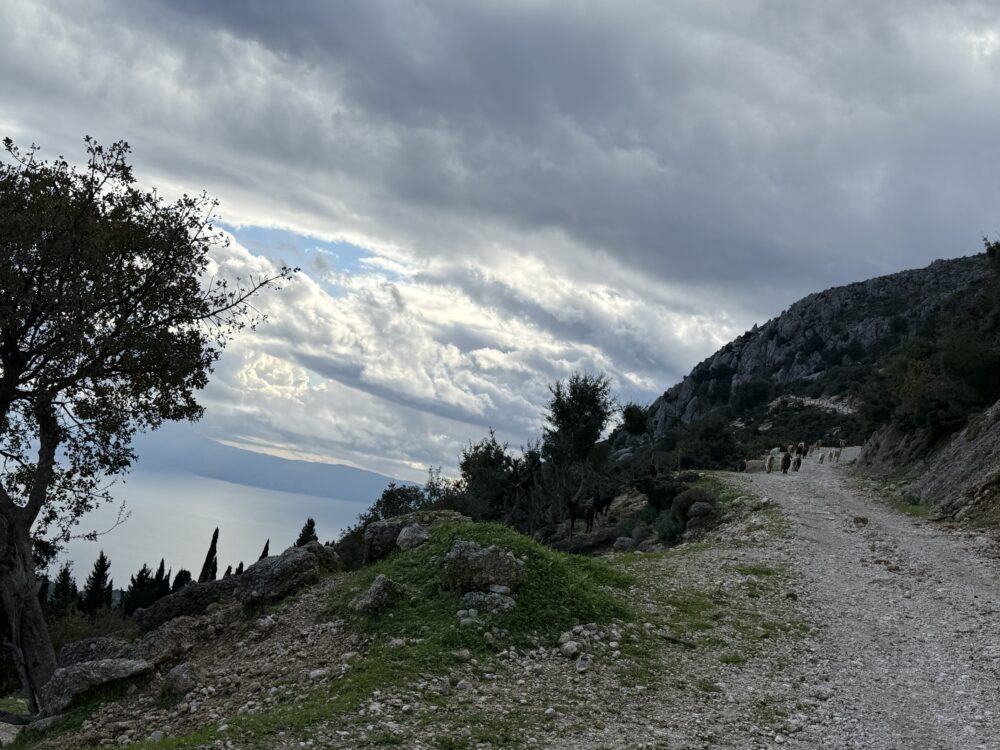 Kefalonia Jeep Tour: Kefalonia Premium 4x4 Sunset Experience (Scenic Views & Golden Hour)