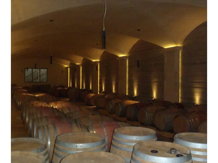 Wine Tasting Tour from Chania: Half-day Exclusive Manousakis Winery and Vineyard Tour with Lunch Included