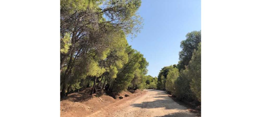 Athens Private Safari: Full-day Private Safari to Athens Riviera and Cape Sounion