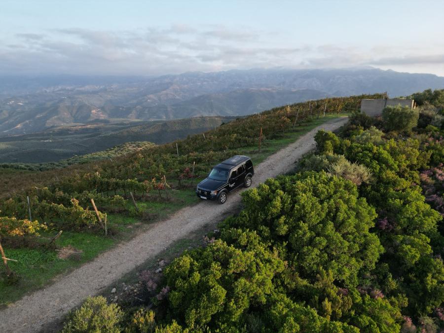 Wine Tasting Tour from Chania: Half-day Exclusive Manousakis Winery and Vineyard Tour with Lunch Included