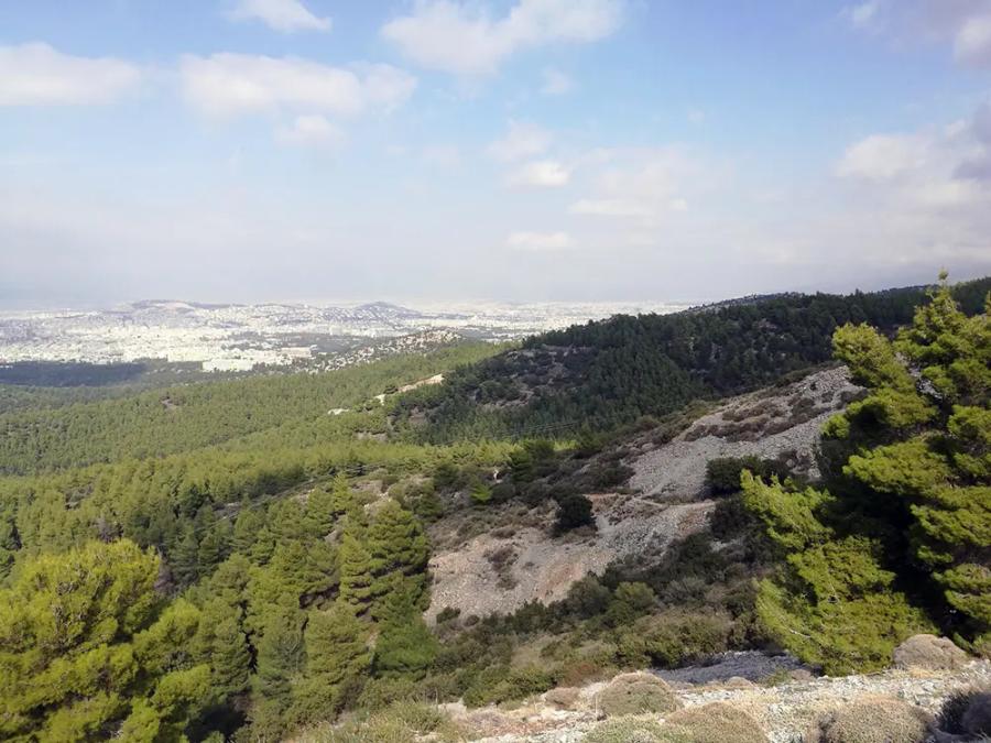 Athens Hiking Trails: Full-day Athens Hiking Experience - Penteli, Imittos, or Parnitha