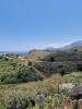 EFL01 Kefalonia Ainos Premium 4x4 Van Experience: Scenic Peaks & Forest Trails