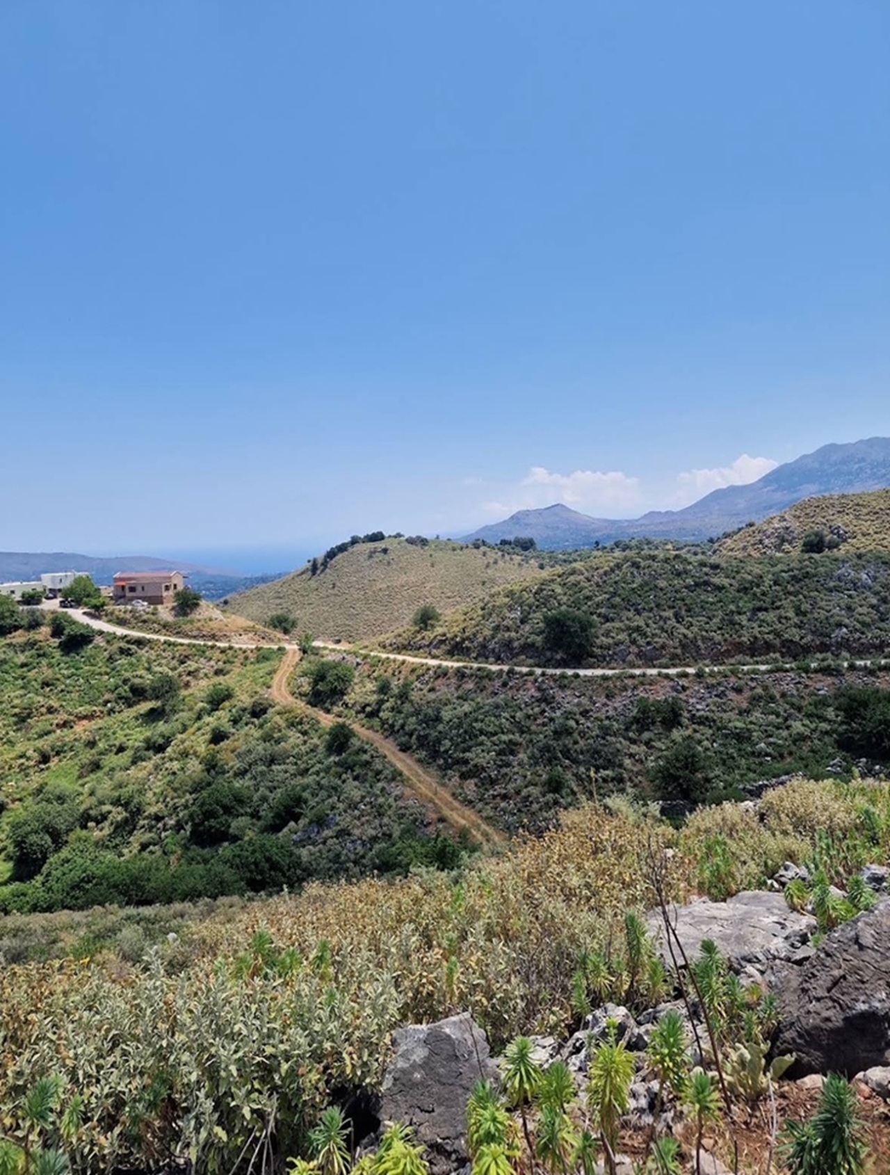 EFL01 Kefalonia Ainos Premium 4x4 Van Experience: Scenic Peaks & Forest Trails