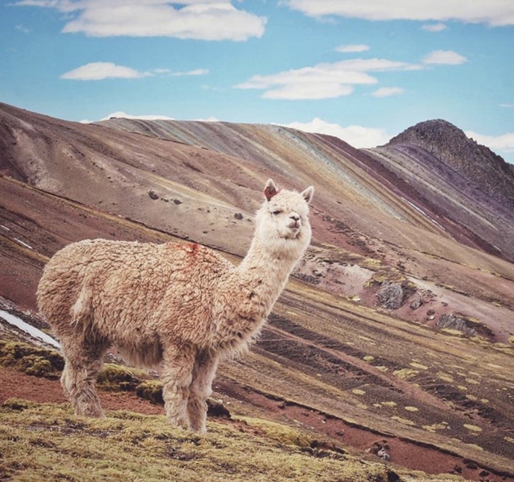 Peru - Cusco and the Alternative Rainbow Mountains Photo day Tour