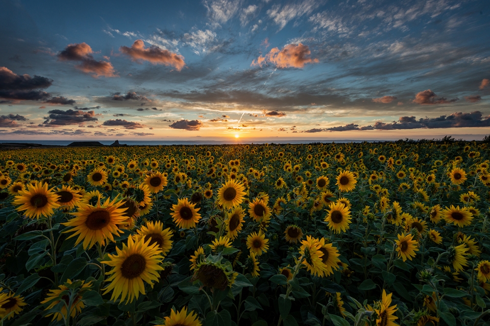 Dorset (Jurassic Coast) Weekend Landscape Photography Workshop