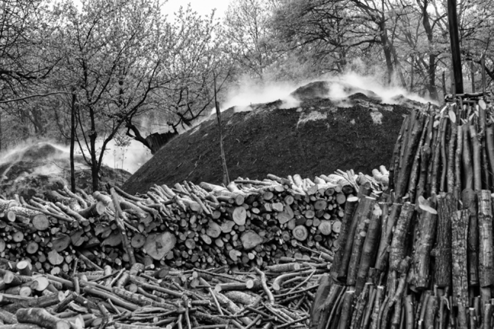 Turkey - Excursion to traditional charcoal makers outside Istanbul