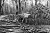 Turkey - Excursion to traditional charcoal makers outside Istanbul