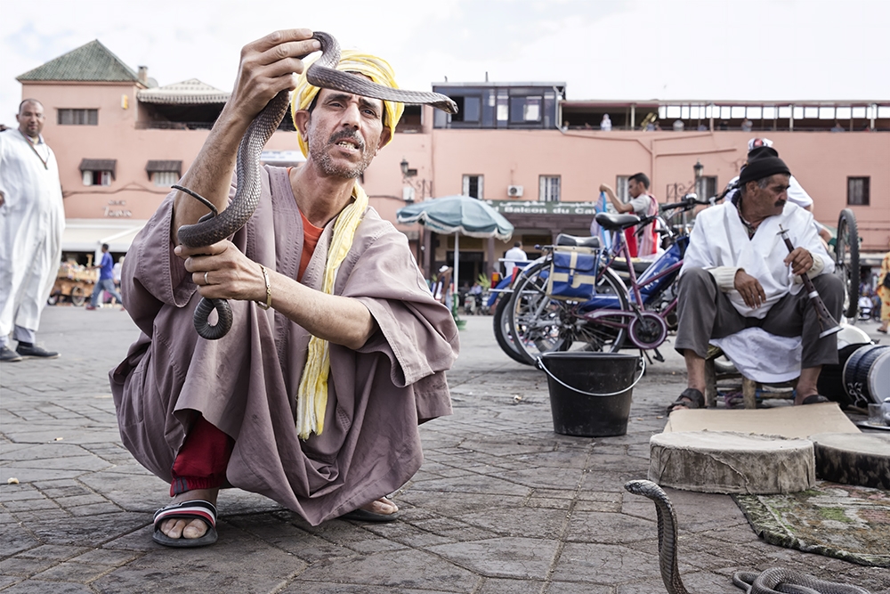 Morocco - Marrakech Half day Photo Walk - 50% discount for the 2nd, 3rd and 4th person. 