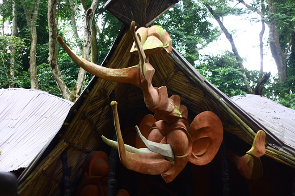 Nigeria - Unforgettable Photography holiday 